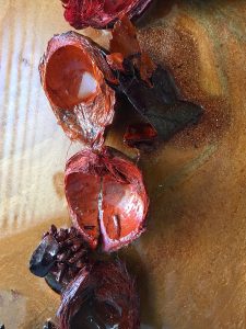 Potpourri and Resin Art by Sue Findlay Designs